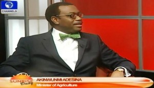 Sunrise Ag Min Adesina