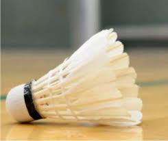 Abia State Sets Up Committee On Para-Badminton