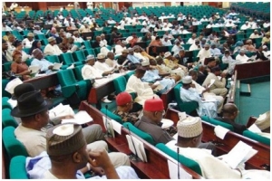 House of Representatives, Budget