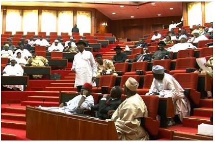 Senate Plenary Nigeria