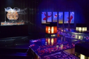 art-aquarium-exhibition-2