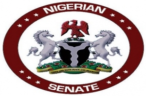 Senate, Abubakar Malami, AGF