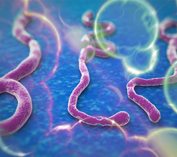 Ebola