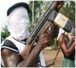 Gunmen Abduct , Former Minister, Gunmen, Kaduna