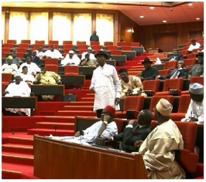 Nigerian Senate