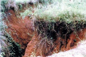 Erosion Control: Ministry Decries World Bank's Approval Delay