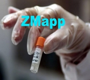 zmapp