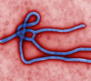 Ebola