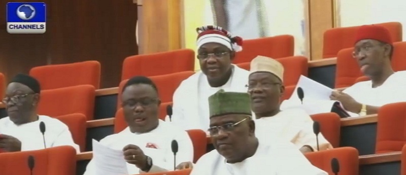 Nigeria Senate floor.