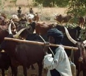 fulani herdsmen