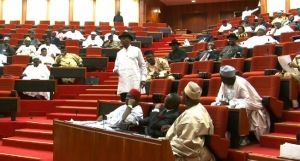 National Assembly, Senate, Executive, MTEF, FSP