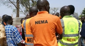 NEMA, House of Representatives, Lawmakers