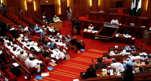 Nigerian Lawmakers- Xenophobic Attack