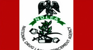 Drug: NDLEA Seize 61kg, Destroy 342tn, Arrest 75 Suspects