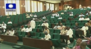 House of Representatives reject fuel subsidy removal