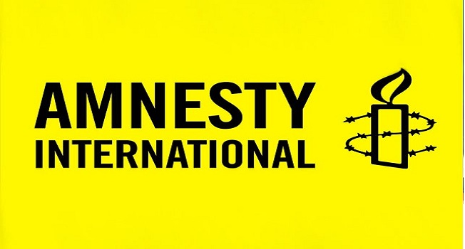 NGO Bill: Protect Your Freedom, Amnesty International Tells Nigerians