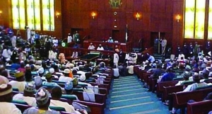 House of Representatives on Petroleum Industry Bill