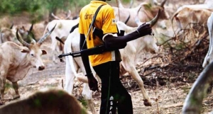 Police, fulani herdsmen, cattle grazing