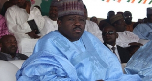 Modu Sheriff, Constitution Amendment, PDP