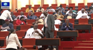 Nigerian Senate on MTEF and FSP