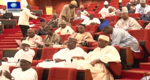 Nigerian-Senate-Members-in-the-8th-Assembly