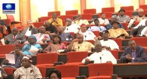 Senate on Electricity Tariff