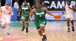 d'tigress-nigeria