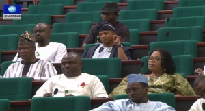 House of Representatives, Audu Ogbeh, Foods