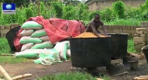 Benue Reduces Rice Production Deficit By 1.5 Million Metric Tons