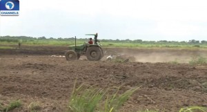 Niger Republic, Agricultural Cooperation