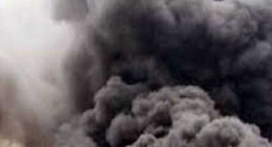 Asylum Seeker, Germany