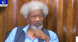 Wole Soyinka, Niger Delta, Oil