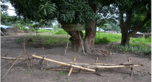 congo