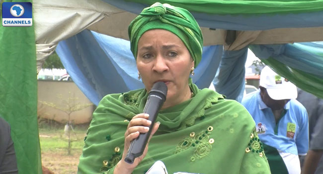 Amina Mohammed, Renewable Energy, Jatropha