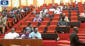 Child Abuse, Nigerian Senate, Children's Day