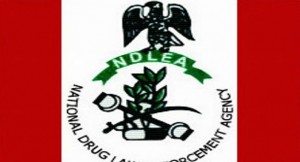 NDLEA Parades 14 Drug Suspects In Kogi