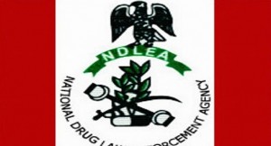 NDLEA