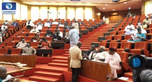 Senate on Nigeria Aviation Bailout funds