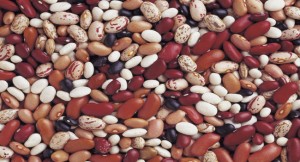 Dried beans export from Nigeria