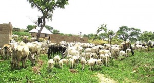 Lawmakers, Grazing Bill