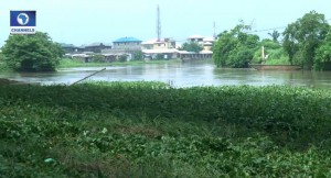 Baby by river bank in osun