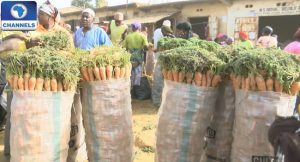 Agriculture-in-Nigeria-and-farming