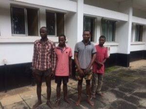 Suspected Cultists arrested in Imo