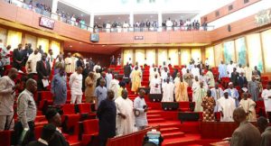 Senate on Rivers Election