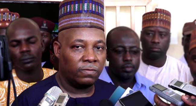 Kashim Shettima, Sambisa, Borno, Military