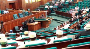 Reps Reject Proposed Amendment To Remove State Governors