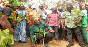 ben-ayade-tree-planting