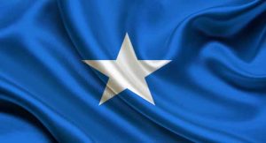 Somalia Election: Mohamed Abdullahi Emerges As President