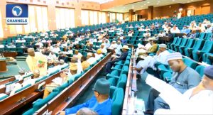 PIB Passes Second Reading At House Of Reps