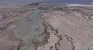 Acid Spill Damages Nature Reserve In Israel